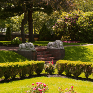 Gartenpflege